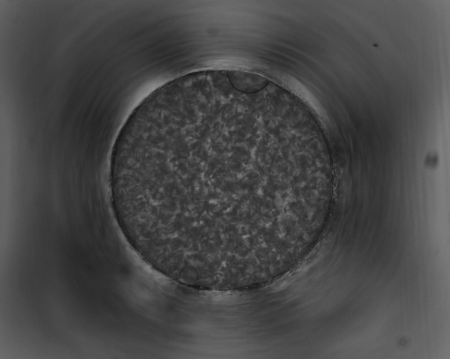 X0000101231087200807181557