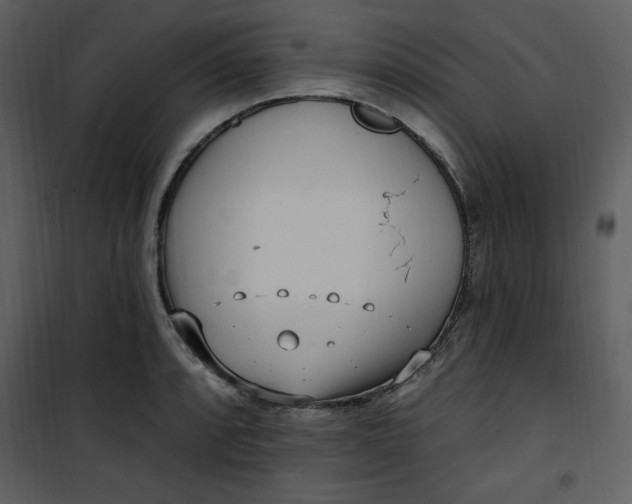 X0000101231088200807181557