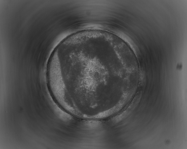 X0000101231090200807181557