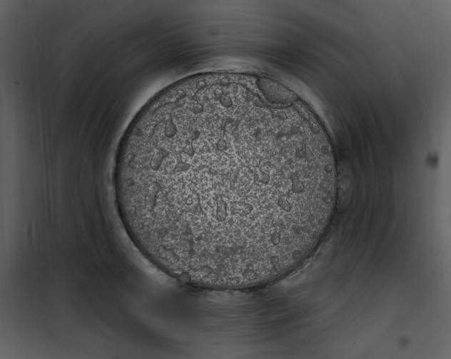 X0000101231091200807181557