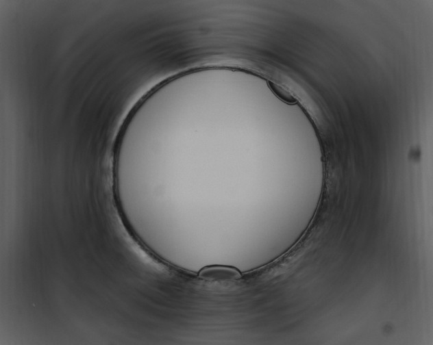 X0000101231092200807181557