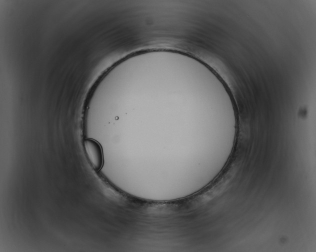 X0000101231093200807181557