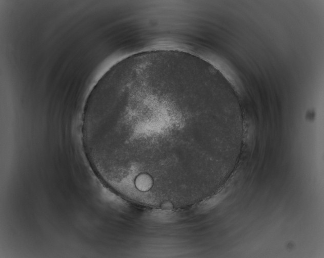 X0000101231094200807181557