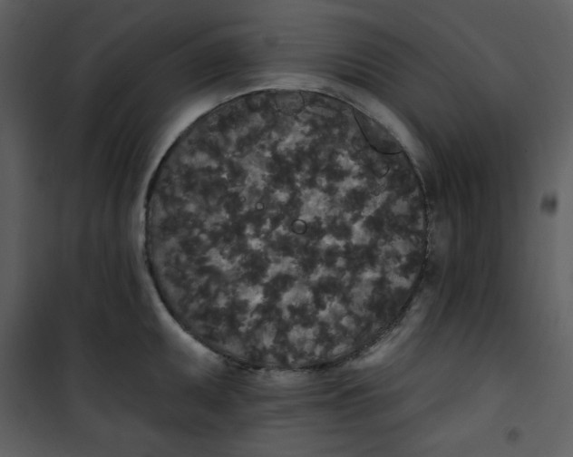 X0000101231095200807181557