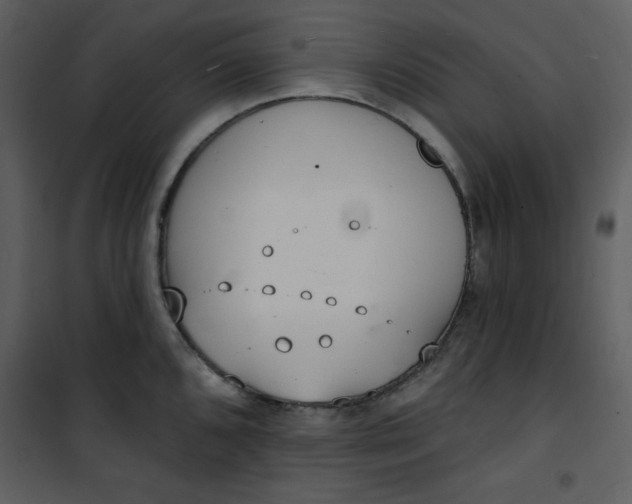 X0000101231096200807181557