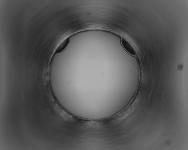 X0000101231097200807181557