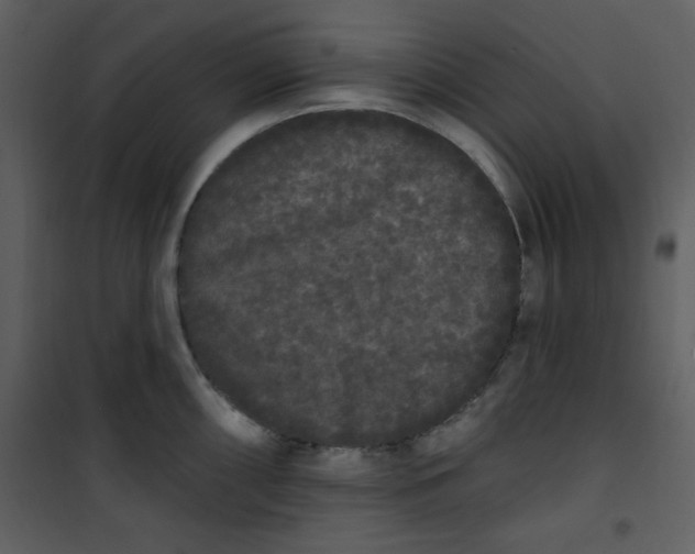 X0000101231098200807181557