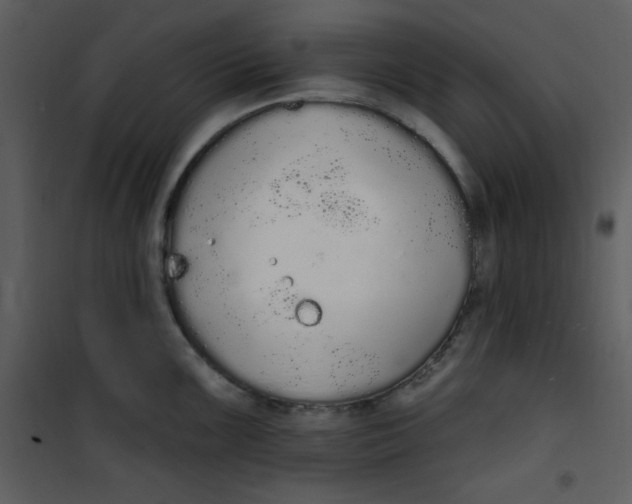 X0000101231099200807181557