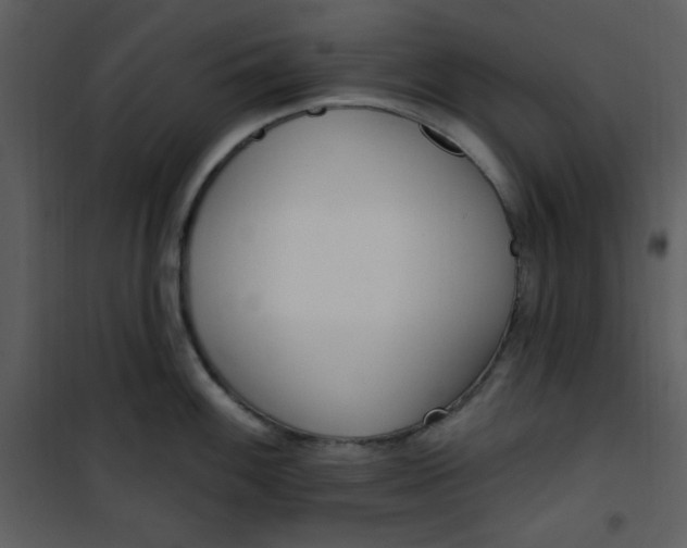 X0000101231100200807181557