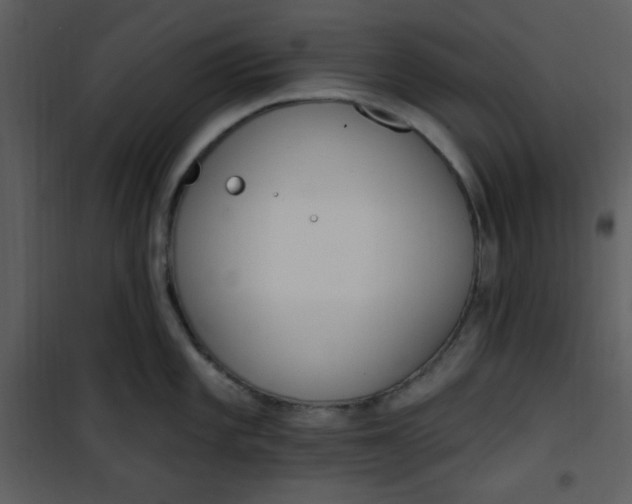 X0000101231101200807181557