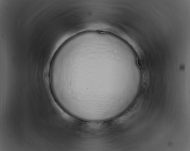 X0000101231103200807181557