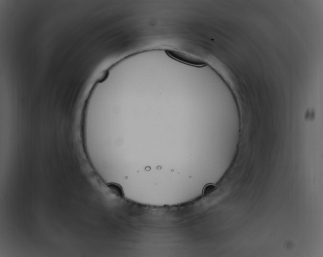 X0000101231104200807181557