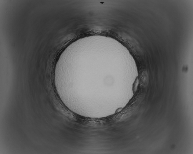 X0000101231105200807181556