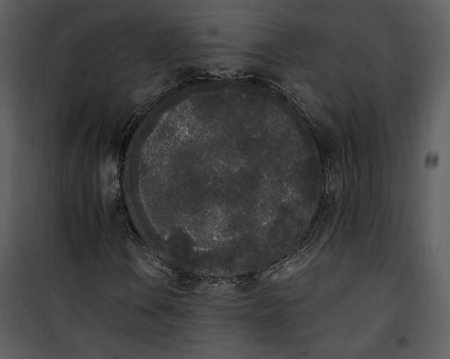 X0000101231106200807181556