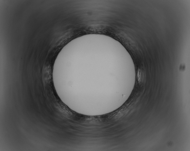 X0000101231107200807181556