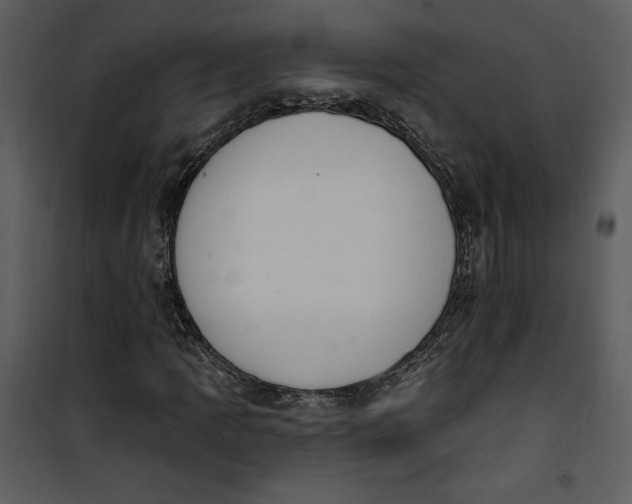 X0000101231109200807181556