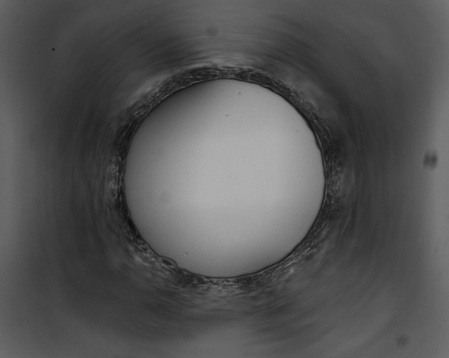 X0000101231110200807181556