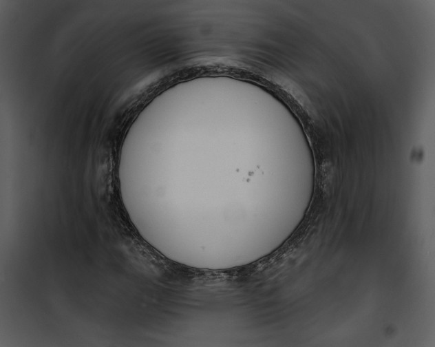 X0000101231111200807181556