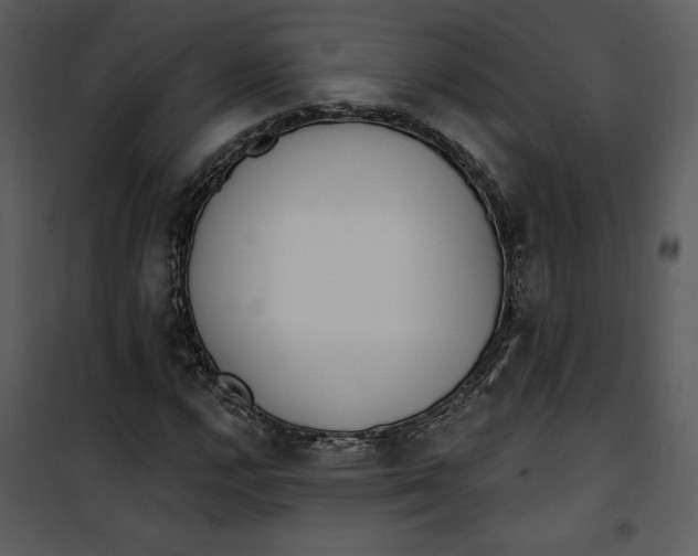 X0000101231112200807181556