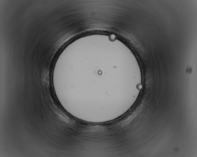 X0000101231113200807181556