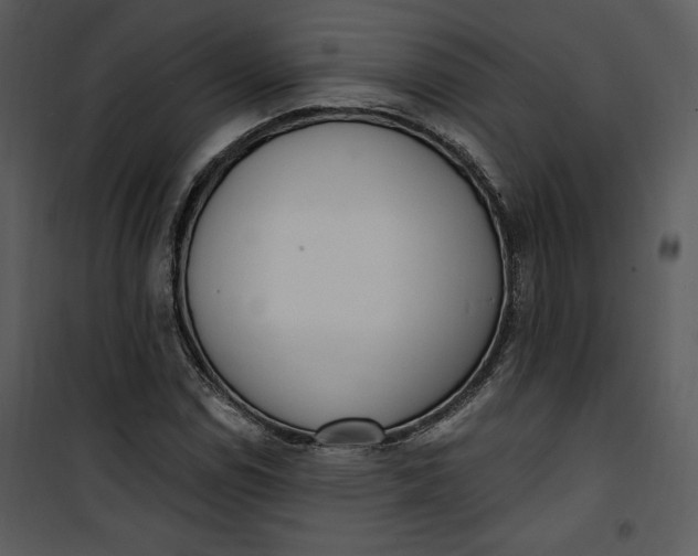 X0000101231114200807181557