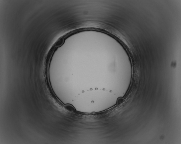 X0000101231116200807181557