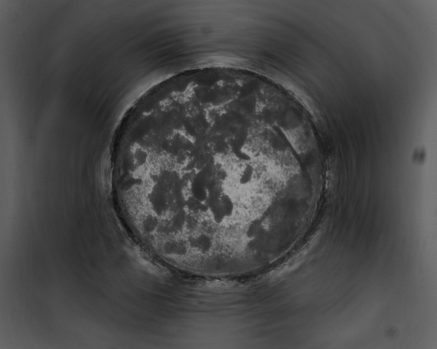 X0000101231117200807181557