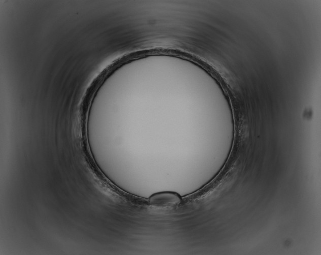 X0000101231118200807181557