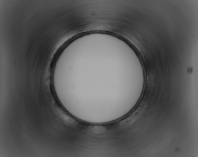 X0000101231119200807181557