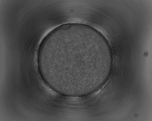 X0000101231120200807181557