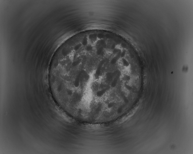 X0000101231121200807181557