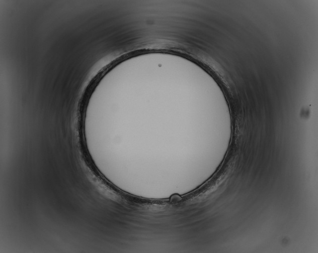 X0000101231122200807181557