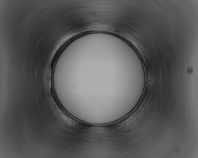 X0000101231123200807181557