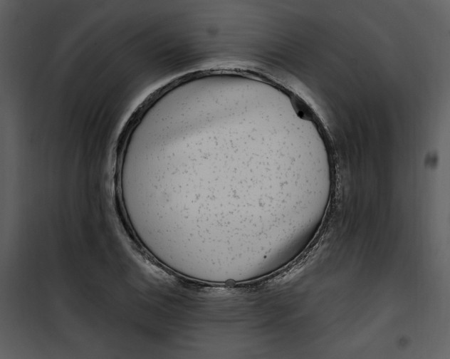 X0000101231124200807181557