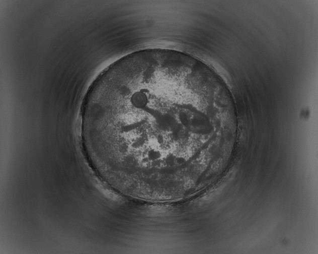 X0000101231125200807181557