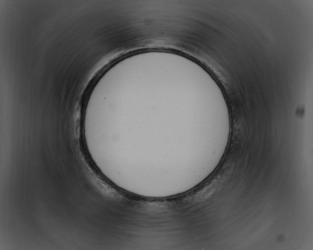 X0000101231126200807181557