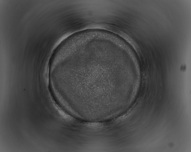 X0000101231127200807181557