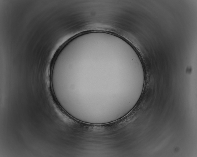 X0000101231128200807181557