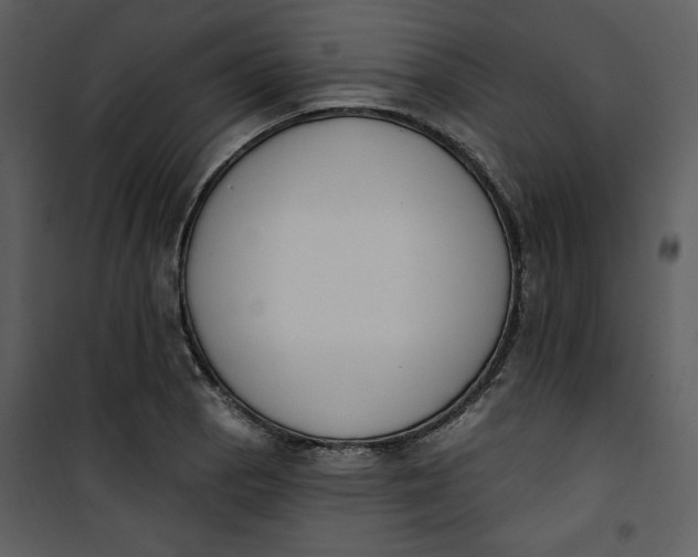 X0000101231129200807181557