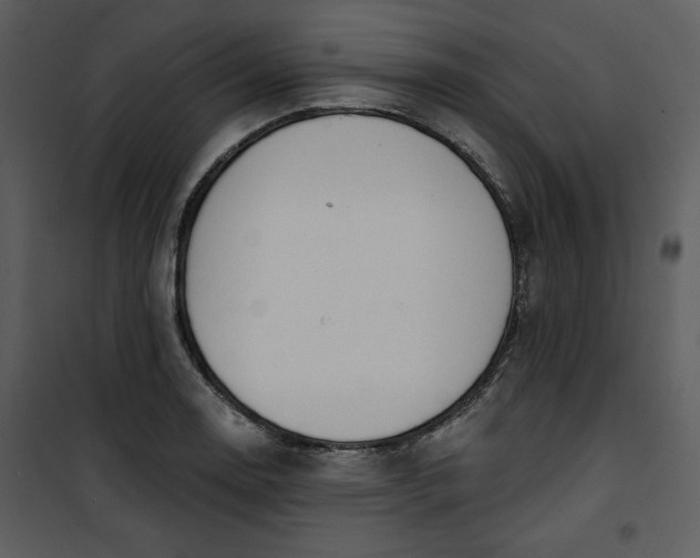 X0000101231130200807181557