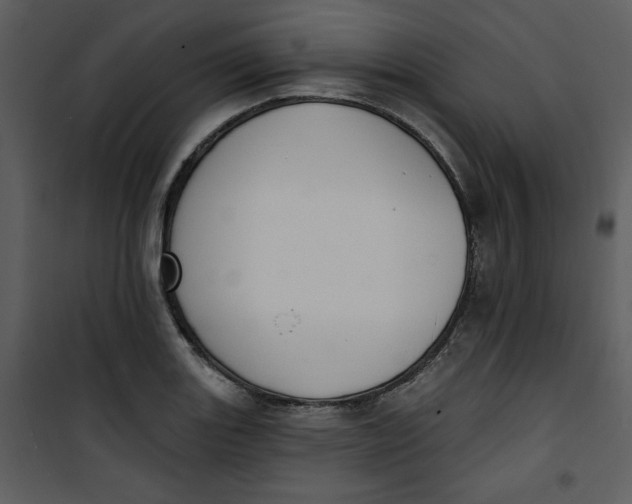 X0000101231131200807181557