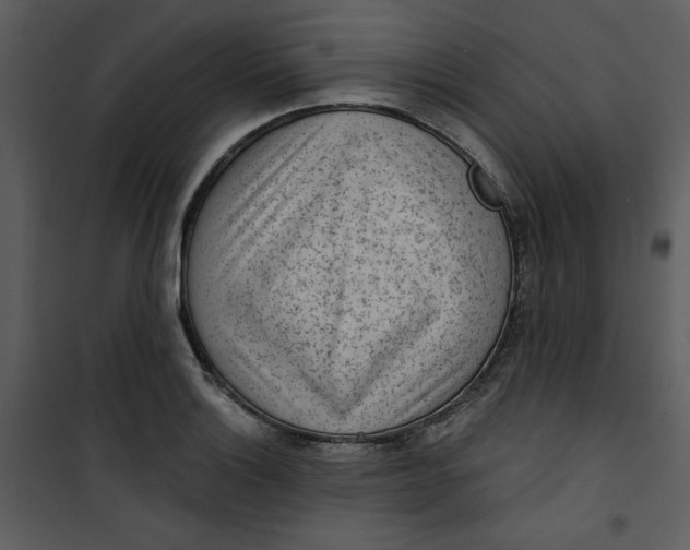 X0000101231132200807181557