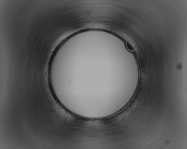 X0000101231133200807181557