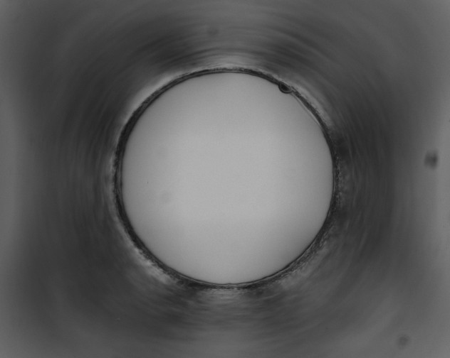 X0000101231134200807181557