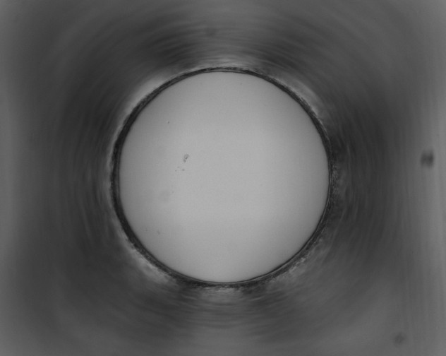 X0000101231135200807181557