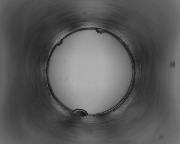 X0000101231137200807181557