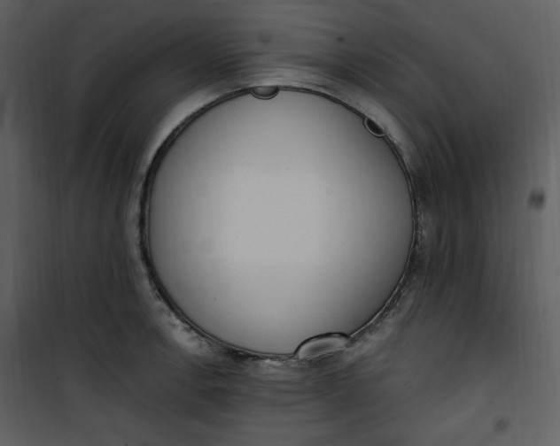 X0000101231138200807181557