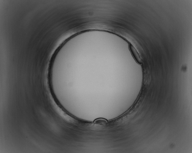 X0000101231139200807181557