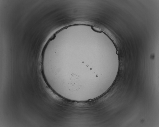 X0000101231140200807181557