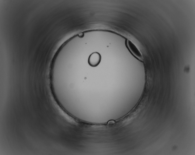 X0000101231142200807181557